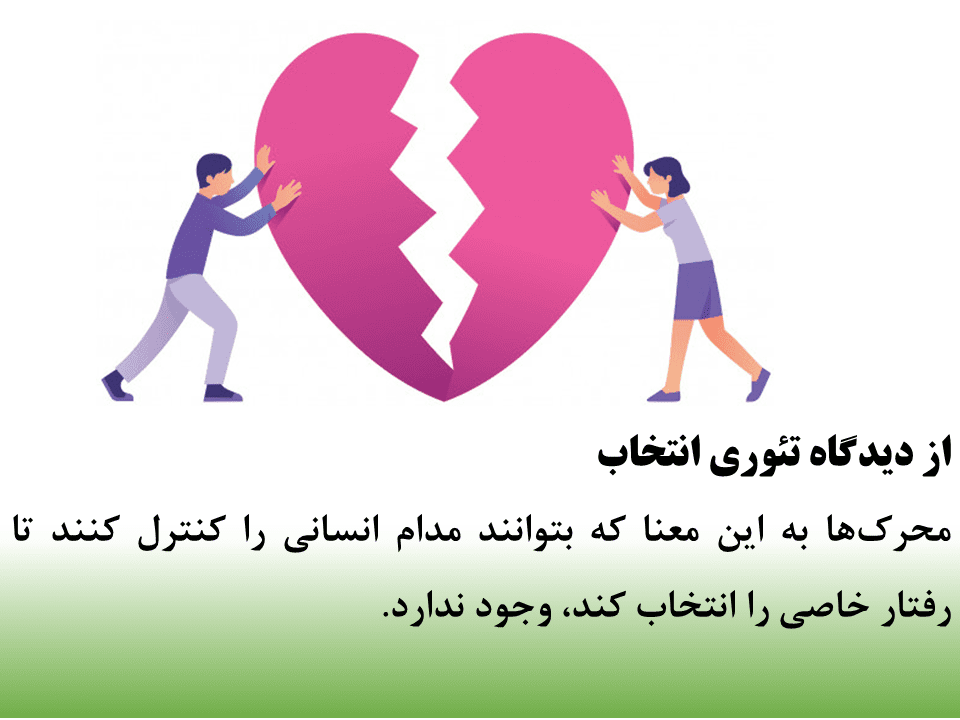 دیدگاه تئوری انتخاب در رابطه با کنترل بیورنی